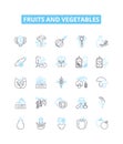 Fruits and vegetables vector line icons set. Fruit, Vegetable, Apple, Orange, Banana, Potato, Tomato illustration Royalty Free Stock Photo