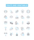 Fruits and vegetables vector line icons set. Fruit, Vegetable, Apple, Orange, Banana, Potato, Tomato illustration Royalty Free Stock Photo