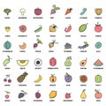 Fruits and vegetables, vegetarian set, summer isolated color vector icons. Royalty Free Stock Photo