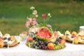 Fruits and Watermelon Basket Royalty Free Stock Photo