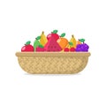 Fruits in wicker basket vector illustration Royalty Free Stock Photo