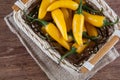 Fruits of yellow fresh chilli pepper in the basket on a wooden b Royalty Free Stock Photo