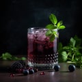 Fruity Blackcurrant Drink in Glass with Fresh Blackcurrants and Mint Sprig Royalty Free Stock Photo