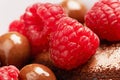 Fruity chocolate goodness. a raspberry and chocolate dessert. Royalty Free Stock Photo