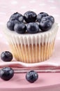 Fruity cupcake with blueberries Royalty Free Stock Photo