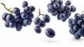 Fruity Delight: Vibrant Blue Grape Cluster Souaring Against a White Backdrop. Whimsical Berries in M Royalty Free Stock Photo