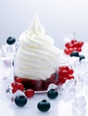 Fruity Frozen Yogurt Royalty Free Stock Photo