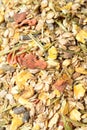 Fruity natural sportive muesli background. for horse