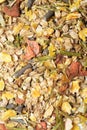 Fruity natural sportive muesli background. for horse