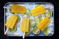 Fruity popsicles