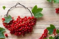 Fruity summer, red currant basket-shaped with leaves, concept abstract