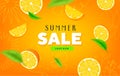 Fruity Summer Sale Colorful Banners with orange tropical Fruits abstract background layout banners. illustration Royalty Free Stock Photo