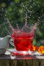 Fruity tea Royalty Free Stock Photo