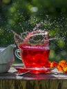 fruity tea splash Royalty Free Stock Photo