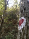 Fruska gora National Park,hearth symbol. Royalty Free Stock Photo