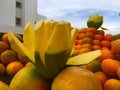 Frutas tropicales Royalty Free Stock Photo