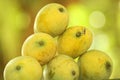 FRUTO TROPICAL `MANGA` Royalty Free Stock Photo