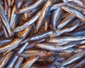 Fry (anchovy) for sale