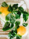 fry eggs with basil Royalty Free Stock Photo