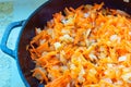 Fry the grated carrots and onions in a pan, cook the roast onions and carrots Royalty Free Stock Photo