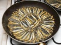 Frying anchovy Royalty Free Stock Photo