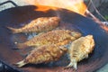 Frying carp fish in a frying pan on an open fire