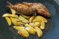 Frying carp fish and potatoes in deep fat Royalty Free Stock Photo