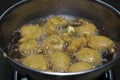 FRYING PAKORA ALOO BHAJIYA IN OIL Royalty Free Stock Photo