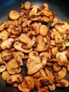 Sauteed sliced mushrooms