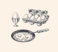 Frying pan with fried eggs and scrambled omelette, Shell and packaging. Farm product. Engraved hand drawn vintage sketch