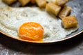 Scramble eggs with small toasted bread Royalty Free Stock Photo