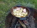 Frying pan with potatoes fried on the grill Royalty Free Stock Photo