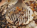 Frying pan with the remains of burnt scrambled eggs Royalty Free Stock Photo