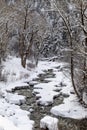 Frying Pan River winter scene with freshly fallen snow Royalty Free Stock Photo