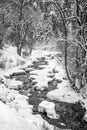 Frying Pan River winter scene with freshly fallen snow Royalty Free Stock Photo