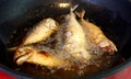 Frying steamed mackerel