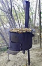 Frying wild mushrooms in the field Royalty Free Stock Photo