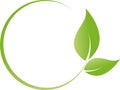 Two leaves, plant, spa and naturopaths logo Royalty Free Stock Photo