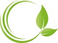 Two leaves, plant, spa and naturopaths logo Royalty Free Stock Photo