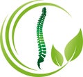 Spine and leaves, Spine and leaves logo, naturopath and chiropractor background, massage and physiotherapy logo