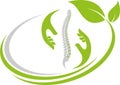 Hands and spine, two hands logo, naturopath and chiropractor background, massage and physiotherapy logo