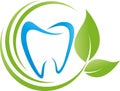 Tooth background, leaves and tooth, dentist and dentistry background, dentists background