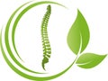 Spine and leaves, orthopedics and massage logo, icon