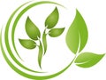 Plant and leaves, two hands logo, alternative practitioner and gardener, massage and physiotherapy, wellness and alternative Royalty Free Stock Photo