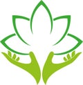 Hands and leaves, two hands logo, alternative practitioner and gardener, massage and physiotherapy, wellness and alternative Royalty Free Stock Photo