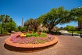 FSU spring time landscape Florida State University campus