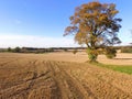 Drone still image of the Sussex countryside.