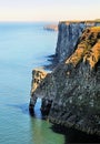 Bempton Cliffs on the Yorkshire Coast