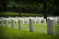 Ft. Lawton Cemetery. Royalty Free Stock Photo