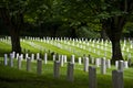 Ft. Lawton Cemetery. Royalty Free Stock Photo